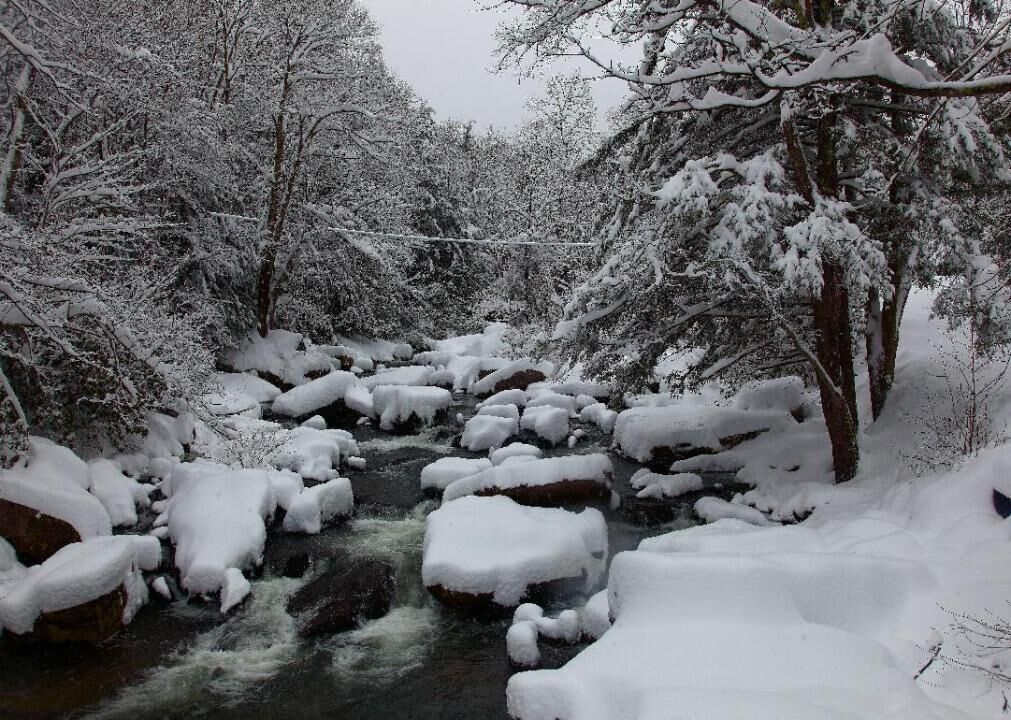 West Virginia